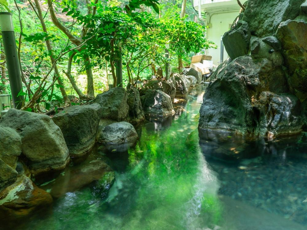 箱根湯本ホテル 3* 箱根町